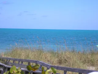Crandon Park Beach in Key Biscayne, FL beach photo