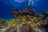 Biscayne National Park preview 2