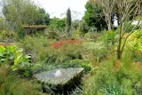 Mounts Botanical Garden preview 2