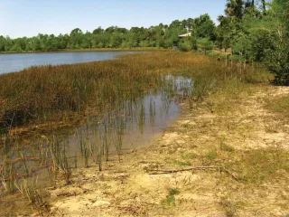 Grassy Waters Preserve in Jupiter, FL park photo