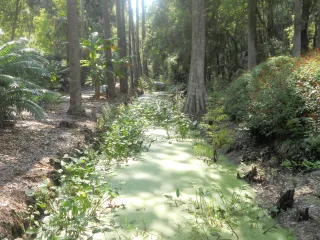 Eureka Springs Park in Orient Park, FL park photo