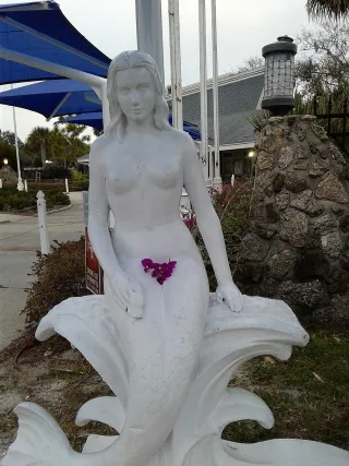 Weeki Wachee Springs photo 1