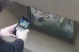 Mote Marine Laboratory and Aquarium preview 1