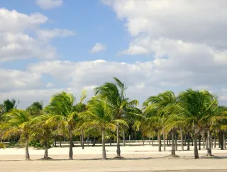 Crandon Beach in Key Biscayne, FL beach photo