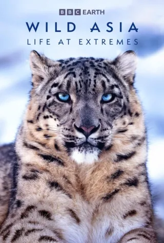 Movie poster for Wild Asia