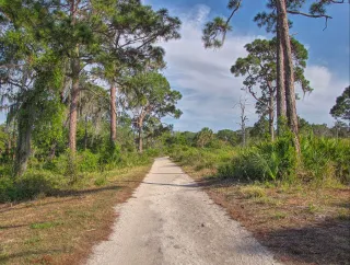 Boyd Hill Nature Preserve in Saint Petersburg, FL park photo