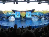 SeaWorld Orlando preview 4