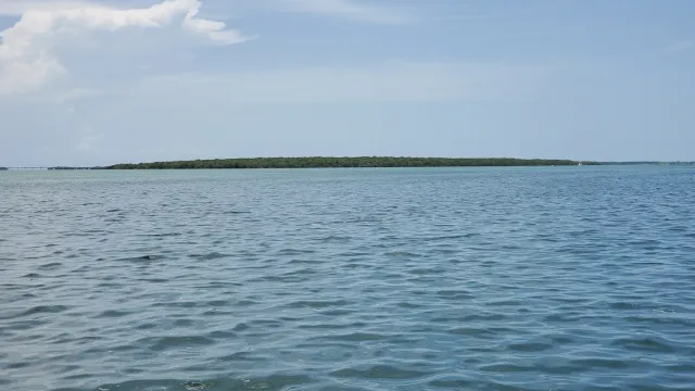 Lignumvitae Key Botanical State Park