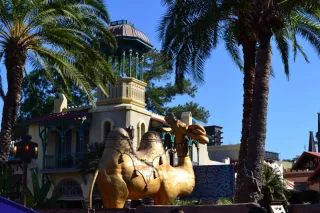 Magic Kingdom photo 1