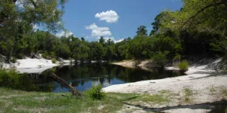 Blue Sink Launch in Lake City, FL park photo