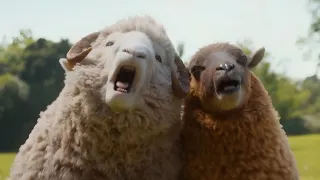 The Sheep Detectives movie photo 7