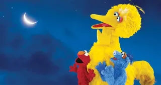 Movie poster for One World, One Sky: Big Bird’s Adventure