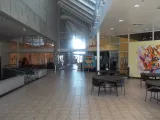 Leepa-Rattner Museum of Art preview 1