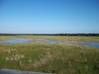 Crews Lake Wilderness Park in Spring Hill, FL park photo