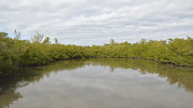 Quick Point Nature Preserve
