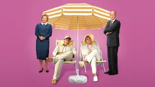 The Birdcage movie photo 8