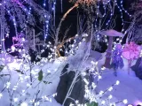 ZooTampa at Lowry Park preview 4