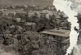 Ernest Hemingway Home and Museum preview 1