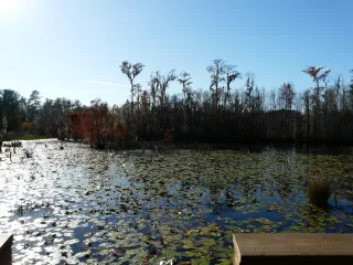 Debbie Lightsey Nature Park