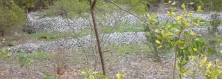 Otter Mound Preserve in Marco Island, FL park photo