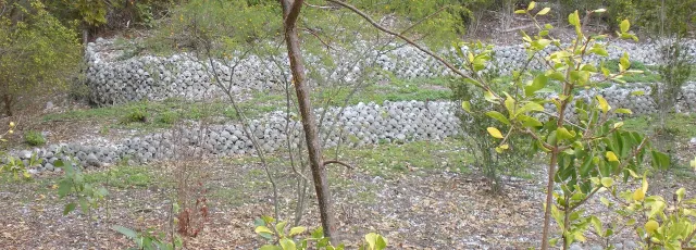 Otter Mound Preserve