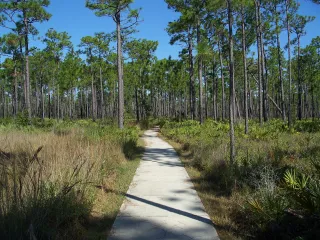Tarkiln Bayou Preserve State Park in Pace, FL park photo