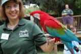 Central Florida Zoo and Botanical Gardens preview 3