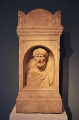 Tampa Museum of Art preview 2