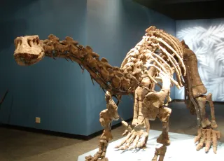 Phillip and Patricia Frost Museum of Science in Miami, FL attraction photo