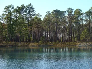 Apalachicola National Forest in Marianna, FL park photo