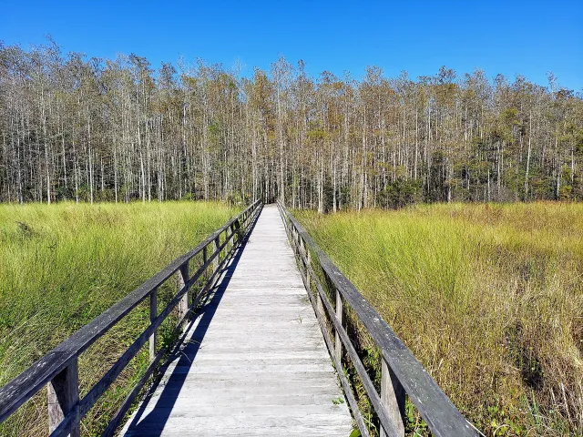 Corkscrew Swamp Sanctuary