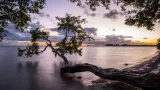 Hobie Island Beach Park preview 1