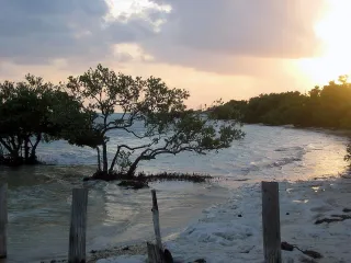 Anne's Beach