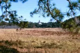Dade Battlefield Historic State Park preview 2