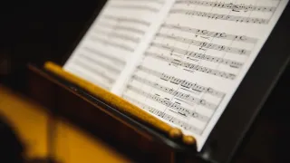 Event image for USF SoM Composition Concert in Tampa, FL