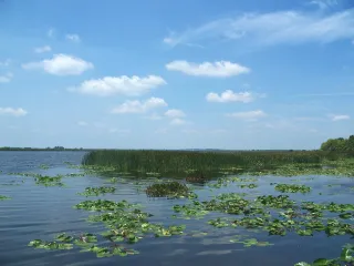 Emeralda Marsh Conservation Area in Leesburg, FL park photo