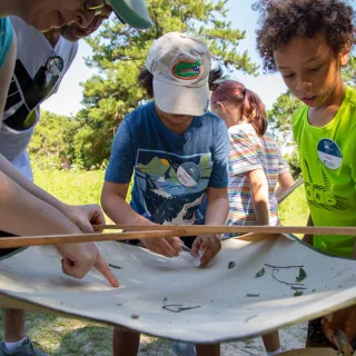 Event image for Summer ArtCamp! | Archaeology Camp in Key West, FL