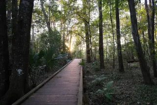 Lake Alice Conservation Area in Gainesville, FL park photo