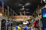 Key West Aquarium preview 1