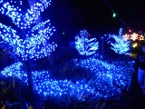 ZooTampa at Lowry Park preview 2