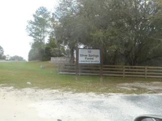 Silver Springs Forest Conservation Area in Silver Springs, FL park photo
