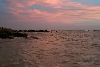 Venice Beach in Venice, FL beach photo