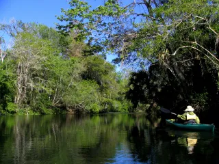 Hillsborough River State Park in Thonotosassa, FL park photo