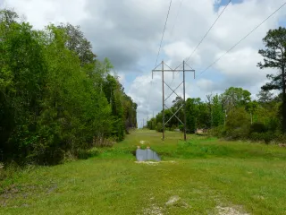 Talquin Wildlife Management Area in Tallahassee, FL park photo