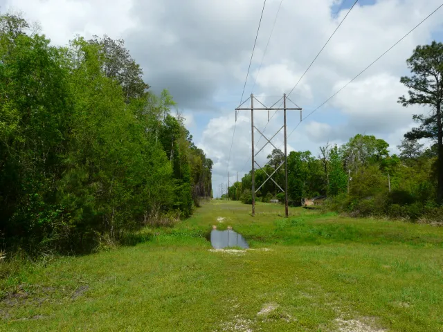 Talquin Wildlife Management Area