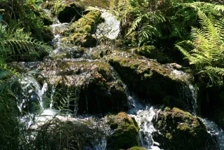Rainbow Springs State Park in Dunnellon, FL park photo