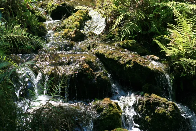 Rainbow Springs State Park