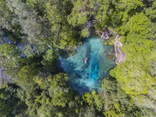 Ichetucknee Springs State Park in Fort White, FL park photo