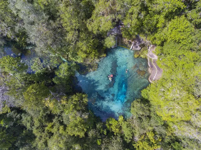 Ichetucknee Springs State Park