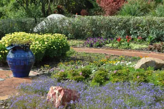 Mounts Botanical Garden in West Palm Beach, FL attraction photo